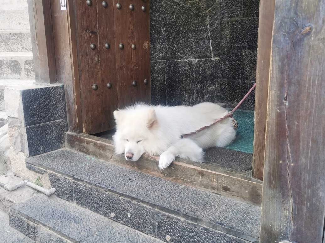 丽江旁触