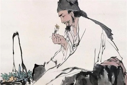 免疫力是健康领域最广泛的话题