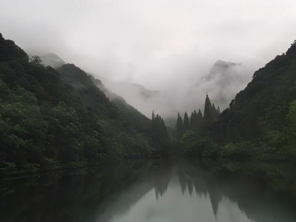 自愈力摘要02——康复故事：克里斯汀